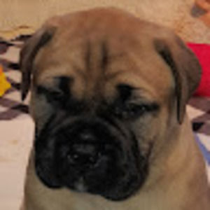 Meet your Posher, Laurie